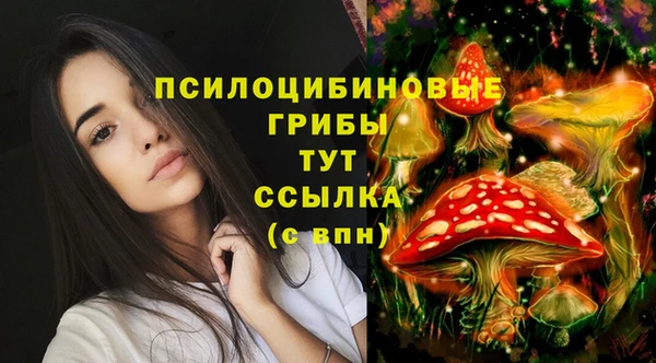 скорость Краснослободск