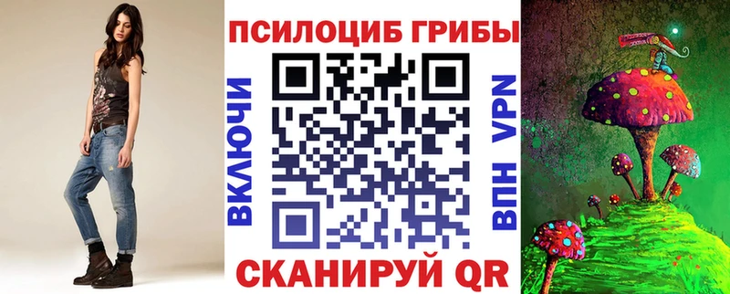 Псилоцибиновые грибы GOLDEN TEACHER  Купить закладки  Курчатов 