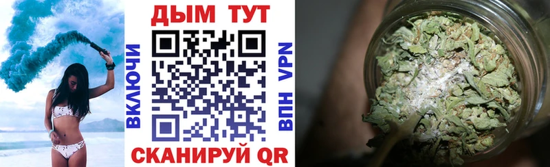 Купить  Курчатов  Каннабис семена 